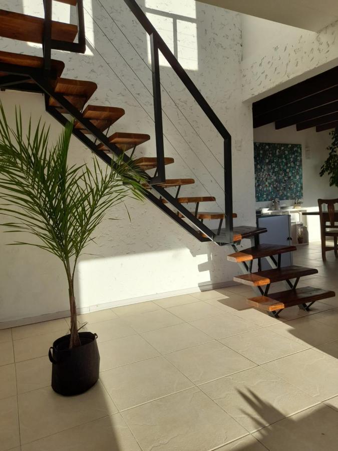 Casa Luminosa Con Parque Y Vista Espectacular Lejlighed El Calafate Eksteriør billede